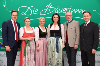 Bild 43 / 251