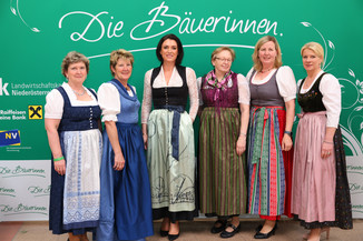 Bild 46 / 251
