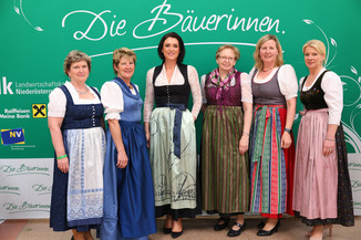 Bild 47 / 251