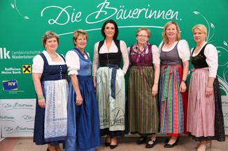 Bild 48 / 251