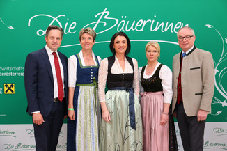 Bild 49 / 251