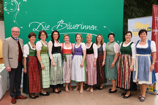 Bild 53 / 251