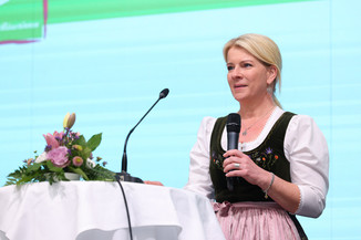 Bild 72 / 251