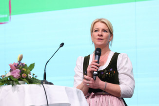 Bild 73 / 251