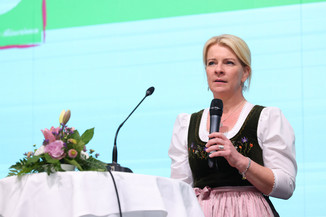 Bild 74 / 251