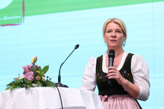 Bild 75 / 251