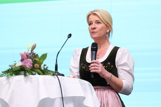 Bild 78 / 251
