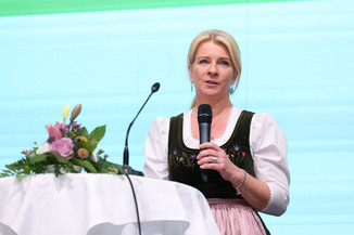 Bild 79 / 251