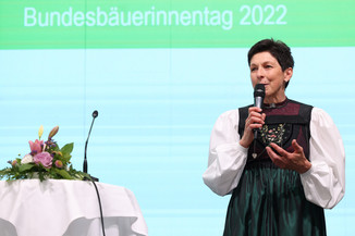 Bild 88 / 251