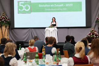 Bild 113 / 251