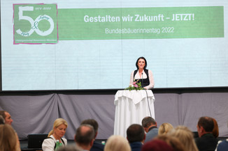 Bild 114 / 251