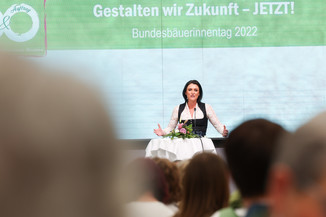Bild 115 / 251