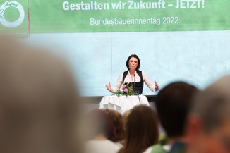 Bild 116 / 251