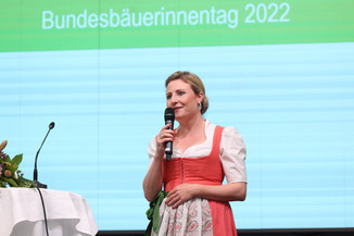 Bild 126 / 251