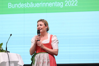 Bild 128 / 251