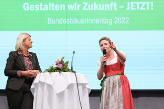Bild 134 / 251