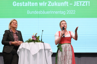 Bild 135 / 251