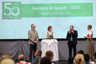 Bild 165 / 251