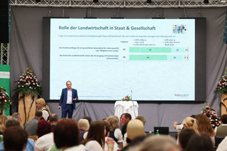 Bild 173 / 251