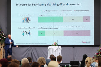 Bild 176 / 251