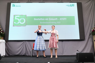 Bild 207 / 251