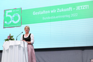 Bild 215 / 251