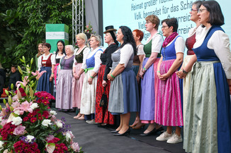 Bild 234 / 251