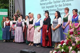 Bild 236 / 251
