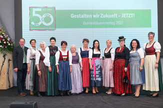 Bild 241 / 251