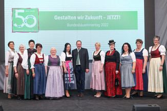 Bild 246 / 251