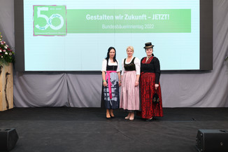 Bild 247 / 251