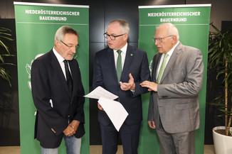 Bild 3 / 32
