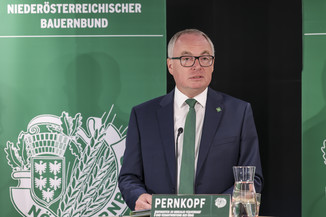 Bild 15 / 32