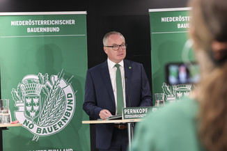 Bild 19 / 32