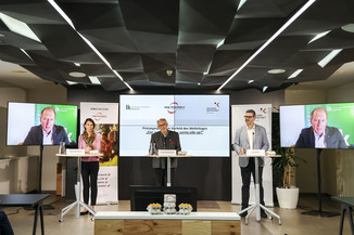 Bild 6 / 26