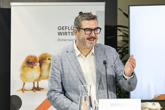 Bild 11 / 26
