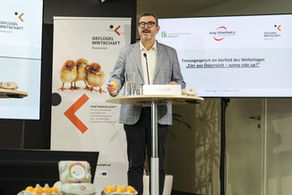 Bild 13 / 26