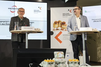 Bild 14 / 26