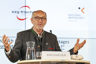 Bild 15 / 26