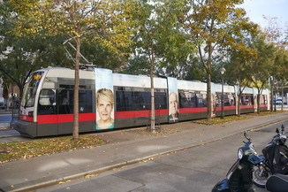 Bild 15 / 29