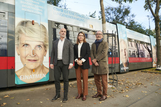 Bild 7 / 29