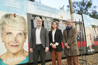 Bild 2 / 29