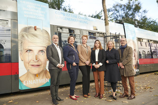 Bild 3 / 29