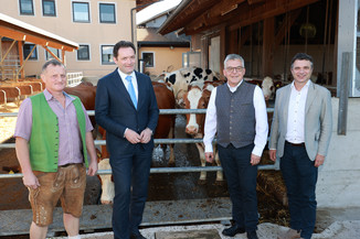 Bild 103 / 412