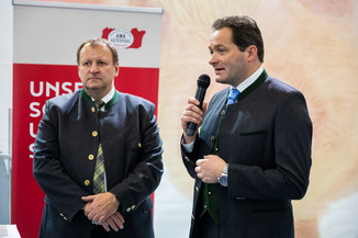 Bild 3 / 98
