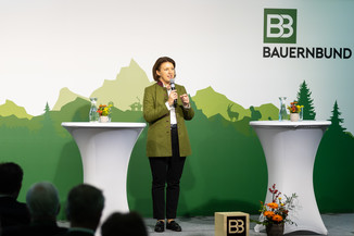 Bild 5 / 136