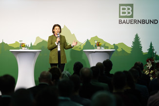 Bild 6 / 136