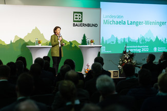 Bild 7 / 136