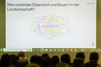 Bild 11 / 136