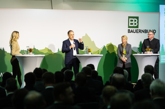 Bild 12 / 136